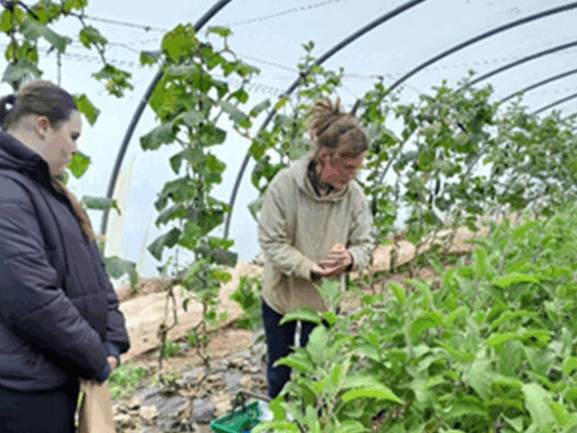 Belgrave School Year 10 Learners Explore Sustainable Food at Chew Valley Community Farm